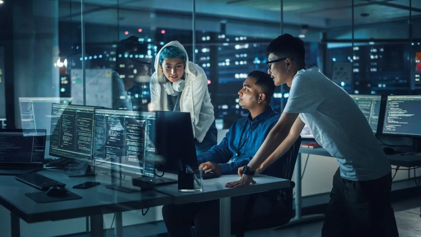 IT Company in Egypt